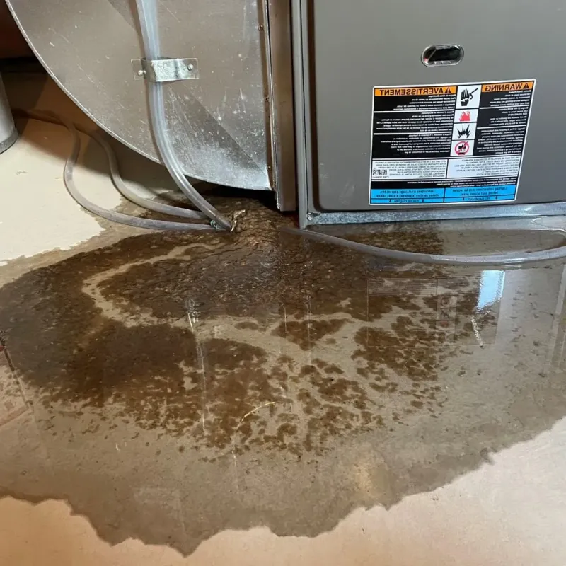 Pipe Burst and Leak Restoration in Morristown, NJ