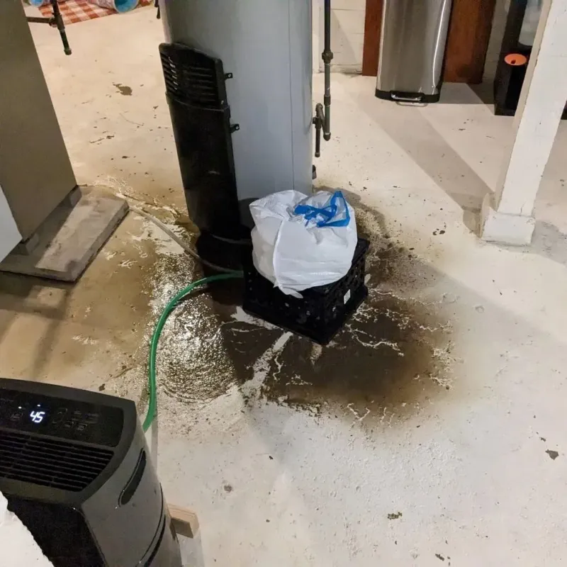 Sewage Backup Cleanup Service in Morristown, NJ